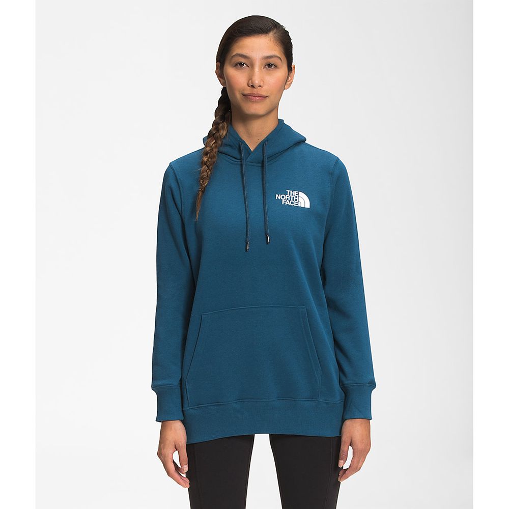 The North Face Hoodie Womens Australia - The North Face Box Nse Pullover Blue Never Stop Exploring (